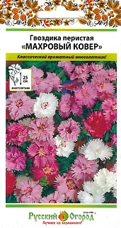 Гвоздика перистая Махровый ковер, смесь, 0,1 г Русский огород