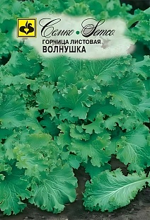 Горчица листовая Волнушка, 2 г. Семко.