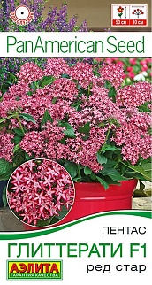 Пентас Глиттерати F1 ред стар, 3 шт.