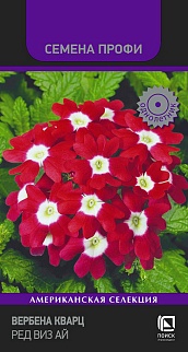 Вербена Кварц Ред виз Ай, 10 шт. Семена профи