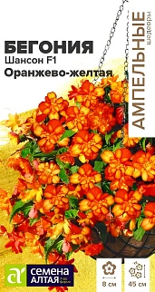 Бегония Шансон F1, оранжево-желтая ампельная клубневая, 5 шт. Ампельные шедевры.