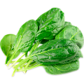 Шпинат