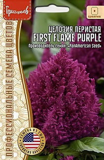 Целозия First Flame Purple (Первое пламя пурпурный) перистая, 4 шт.