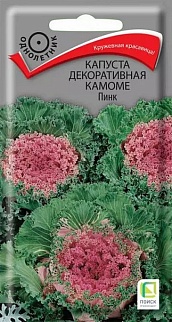 Капуста декоративная Камоме Пинк, 10 шт.