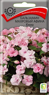 Бальзамин махровый Афина Юнона, 5 шт.