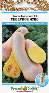Тыква Баттернат Северное чудо F1, 5 шт. Русский огород