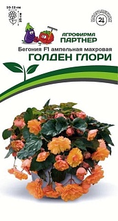 Бегония F1 ампельная махровая Голден Глори, 5 шт. 