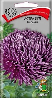 Астра Мадонна, 0,3 г