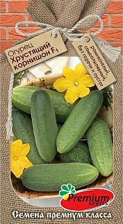 Огурец Хрустящий корнишон F1, 10 шт.