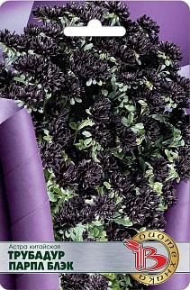 Астра китайская Трубадур Парп Блек, 20 шт. Биотехника