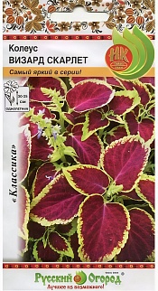 Колеус Визард скарлет, 10 шт. Русский огород