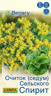 Очиток (Седум) сельского Спирит, 5 шт.