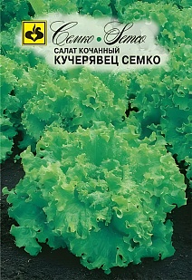 Салат полукочанный Кучерявец, 1 г. Семко.