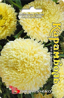 Астра Карамболь Золотой, 40 шт. Биотехника