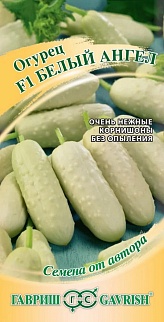 Огурец Белый ангел F1, 10 шт. Авторские семена.