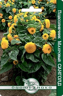 Подсолнечник махровый Санголд, 10 шт. Биотехника