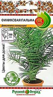 Пальма Финиковая, 5 шт. Зеленый дом. Русский огород