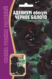 Адениум Обесум Черное болото, 3 шт. Редкие семена.
