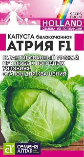 Капуста белокочанная Атрия F1, 12 шт. Голландские семена.