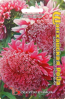 Астра Шанхайская Роза бриллиантово-розовая, 40 шт.