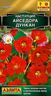 Настурция Айседора Дункан, 1 г