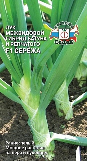 Лук батун Сережа F1, 0,3 г