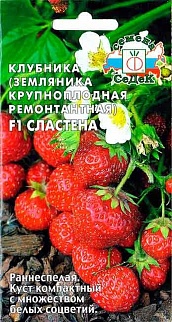Земляника Сластена F1, ремонтантная, 15 шт.