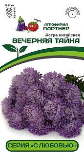 Астра китайская Вечерняя Тайна, 5 шт. С любовью