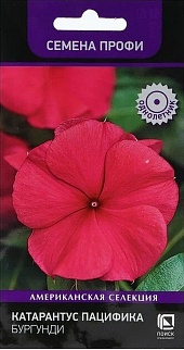 Катарантус Пацифика Бургунди,10 шт. Семена Профи