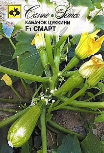 Кабачок цуккини Смарт F1, 5 шт.