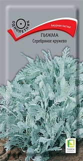 Пижма Серебряное кружево, 10 шт.