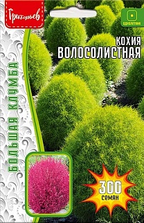 Кохия волосолистная (Kochia trichophylla), 500 шт.