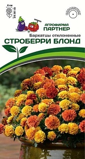 Бархатцы Строберри блонд, 10 шт. Агрофирма Партнер.