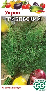 Укроп Грибовский, 3 г. Гавриш.