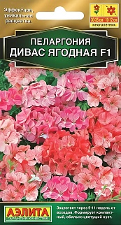 Пеларгония Дивас F1 ягодная, смесь сортов, 3 шт.