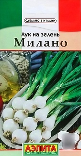 Лук на зелень Милано, 0,5 г