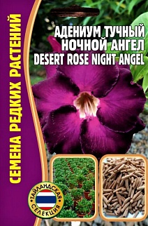 Адениум Ночной Ангел  Desert Rose (Пустынная Роза), 3 шт.