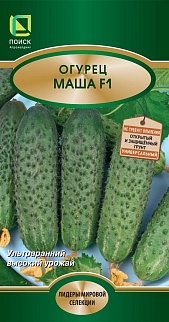 Огурец Маша F1, 5 шт.