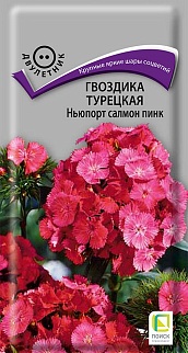 Гвоздика Турецкая Ньпорт Салмон Пинк, 0,5 г