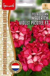 Пеларгония Маверик Violet Picotee (Вайолет Пикоти) F1, 3 шт.