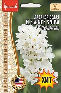 Лаванда узколистная Munstead Strain Blue, 30 шт.