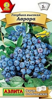 Голубика высокая Аврора, 0,01 г