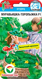 Огурец Муравьишка-торопыжка, 7 шт. Сибирский сад.