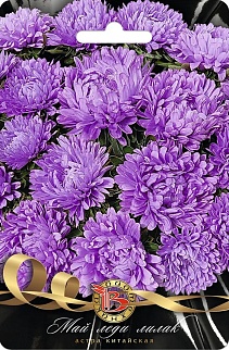 Астра китайская Май Леди Лилак, 30 шт. Биотехника