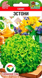 Салат Эстони, 10 шт. Семена Голландии. Сибирский сад.