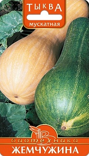 Тыква мускатная Жемчужина, 6 шт. Биотехника 