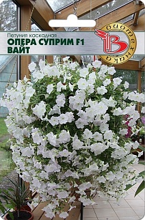 Петуния каскадная Опера Суприм F1 Вайт, 5 шт. Биотехника