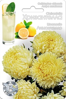 Астра китайская Хризантелла Лимончелло, 30 шт. Биотехника
