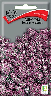 Алиссум Розовая королева, 0,3 г