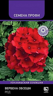 Вербена Обсешн Ред, 10 шт.